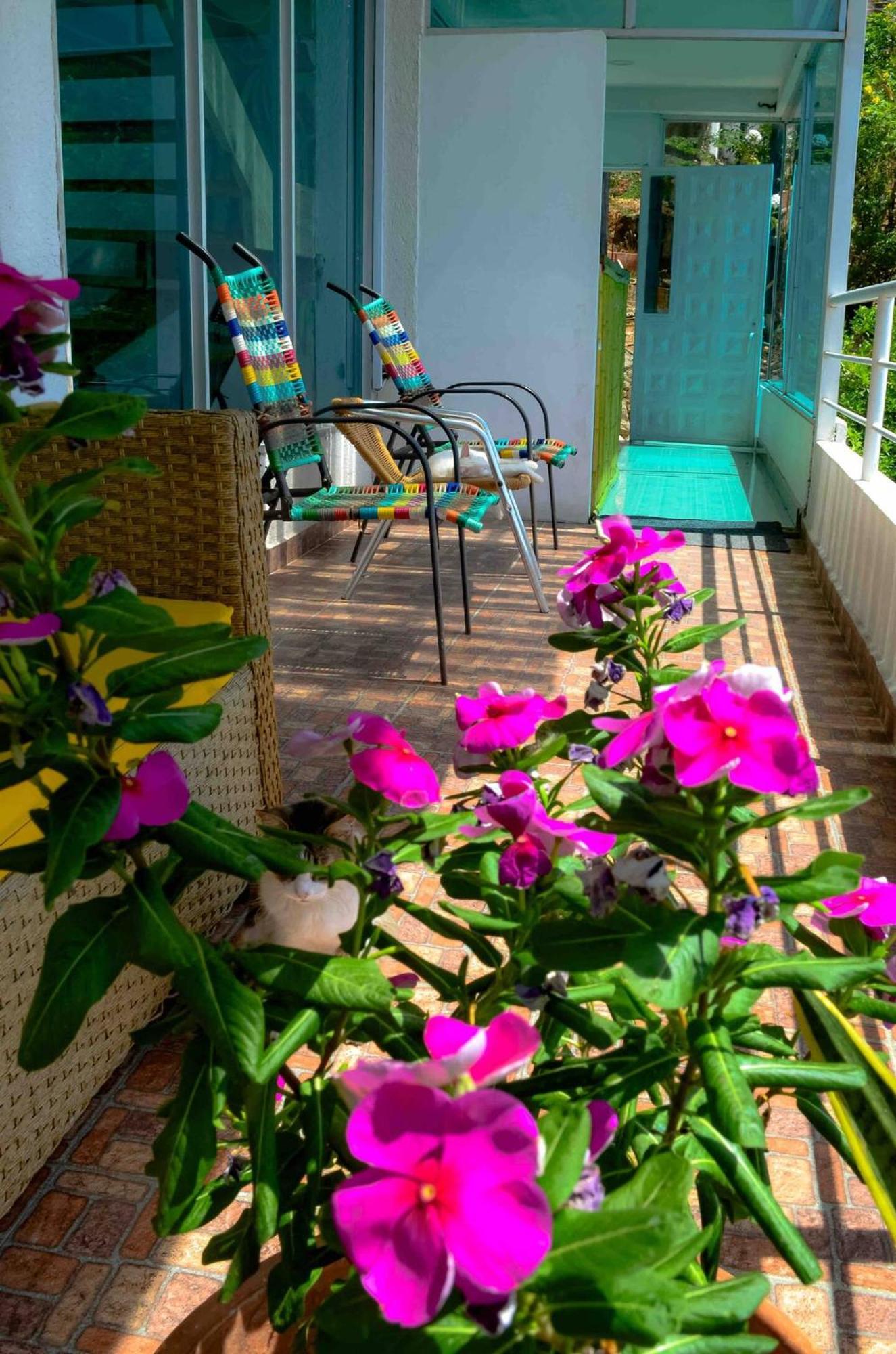 Casa Babel Taganga Hotell Santa Marta  Exteriör bild